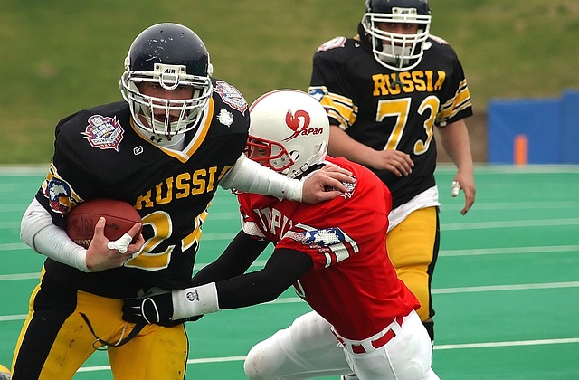 莫林组成的 莫林组成的