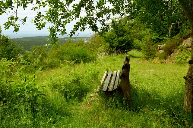 俱乐部管理 俱乐部管理