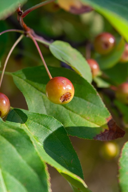 错失了一些 错失了一些