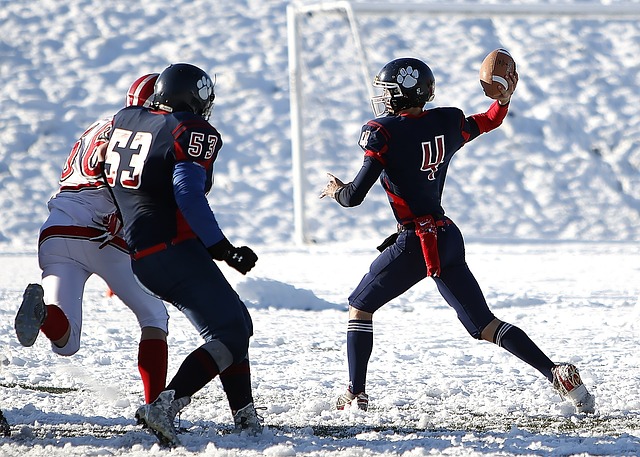 我们将探讨 我们将探讨