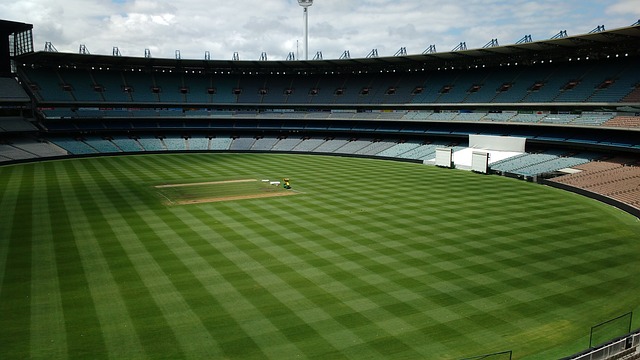 的奋力拼搏 的奋力拼搏