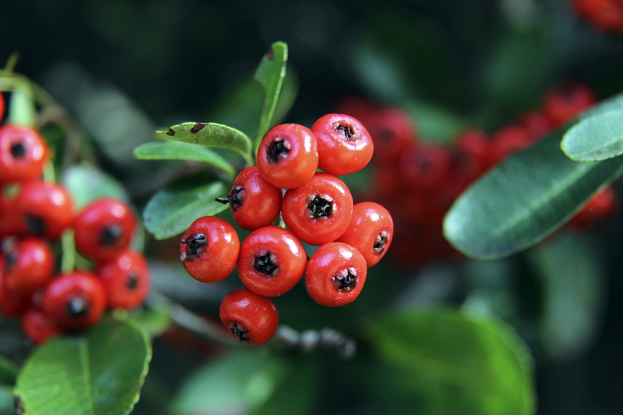 越注重比赛 越注重比赛