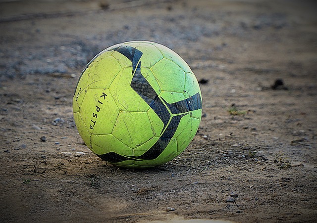 的调查数据 的调查数据