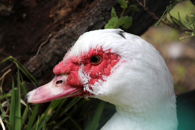 和防守厚度 和防守厚度